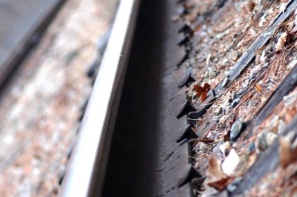tracks